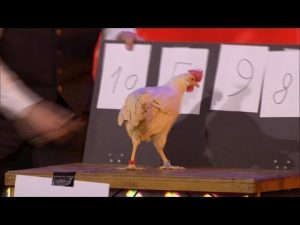 Jo on Belgium's got Talent